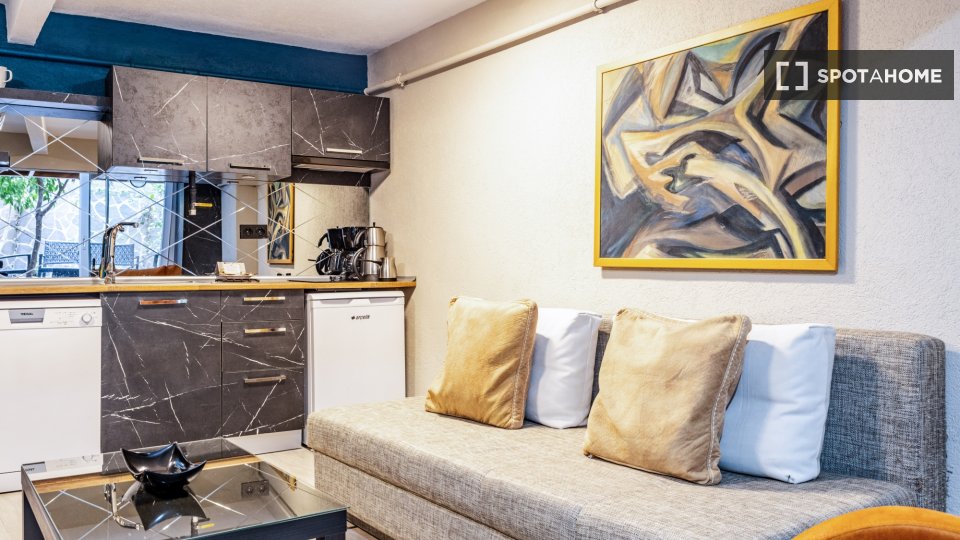 Apartment Istanbul, 1 bed — photo 4