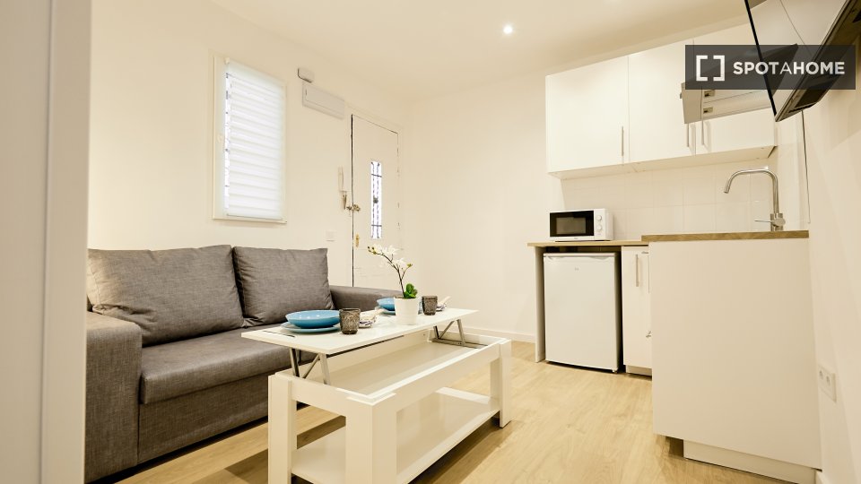 Apartment Madrid, 1 bed — photo 19