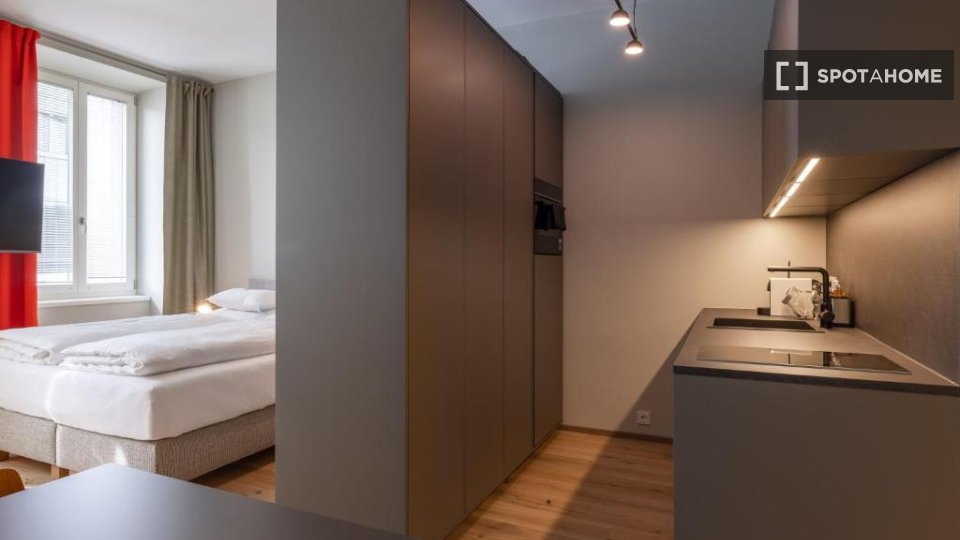 Apartment Vienna, 1 bed — photo 8