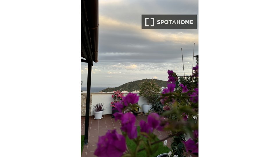 Apartment Alicante, 3 beds, 240m² — photo 15