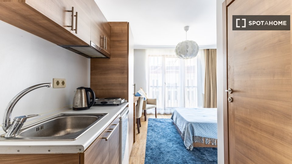 Apartment Istanbul, 1 bed — photo 12