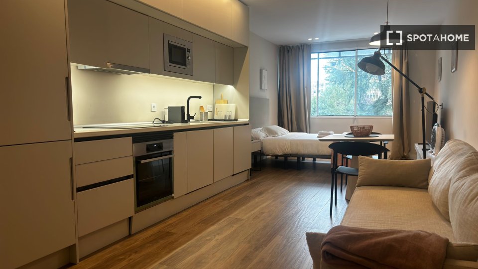 Apartment mono Madrid, 50m² — photo 14