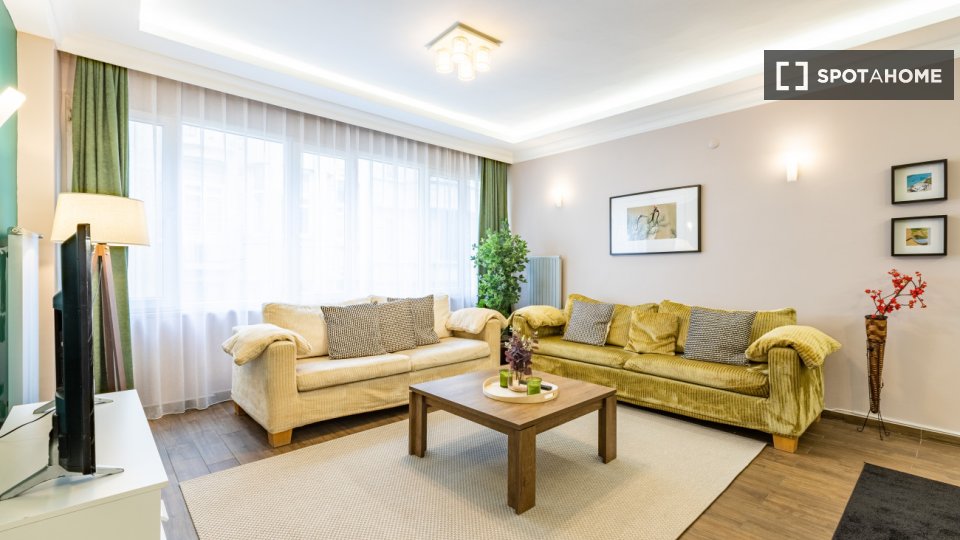 Apartment Istanbul, 1 bed — photo 11