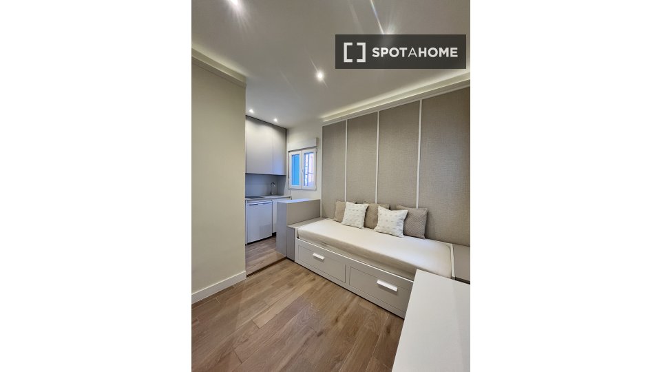Apartment mono Madrid, 20m² — photo 4
