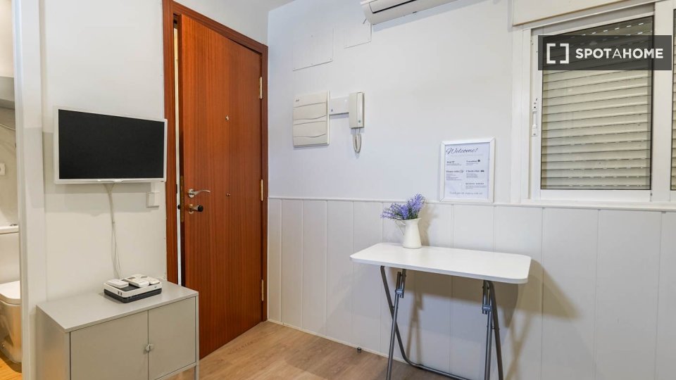 Apartment Madrid, 1 bed — photo 3