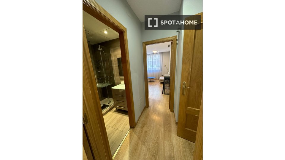 Apartment mono Madrid, 50m² — photo 17