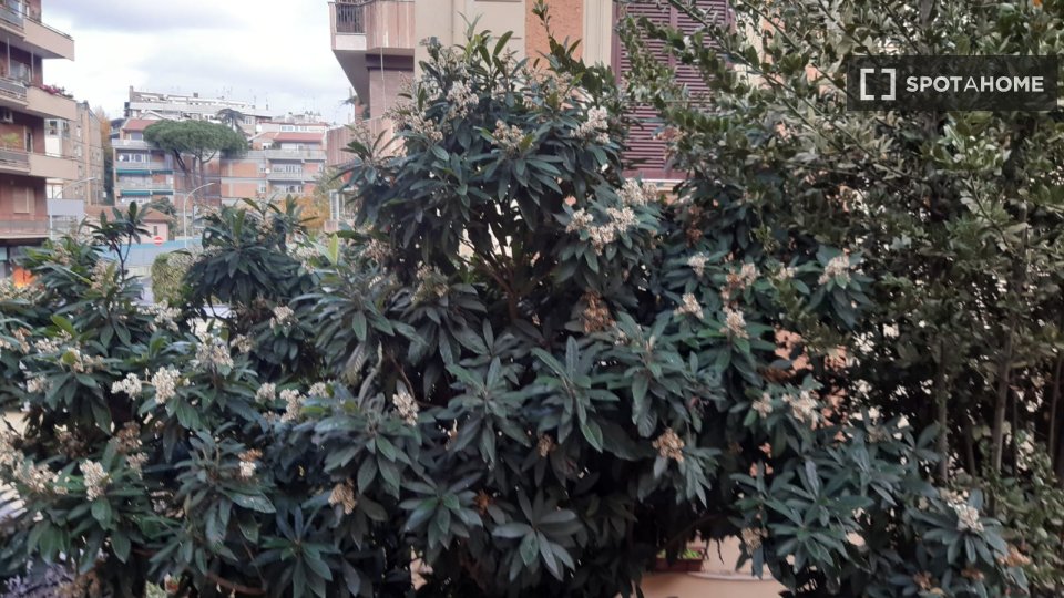Apartment Rome, 4 beds, 60m² — photo 11