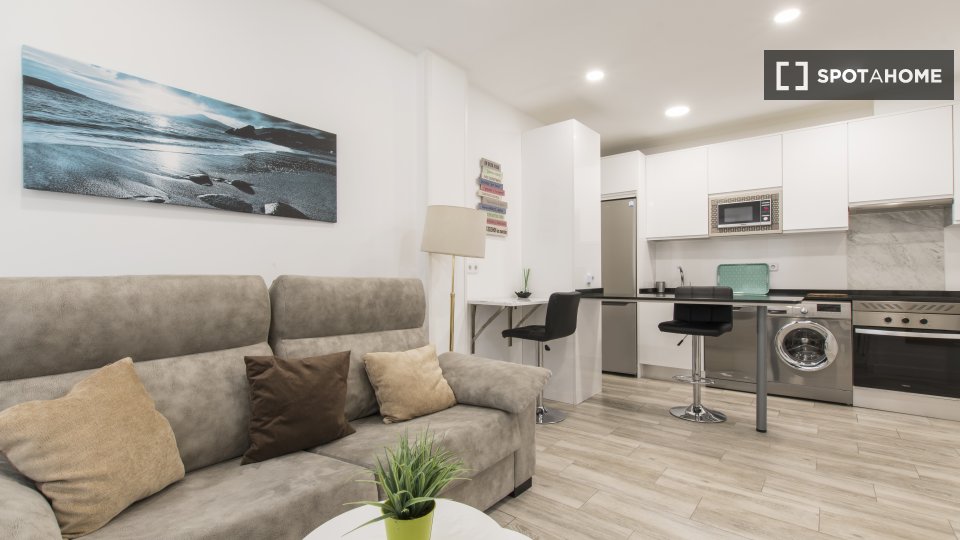 Apartment mono Madrid, 32m² — photo 3