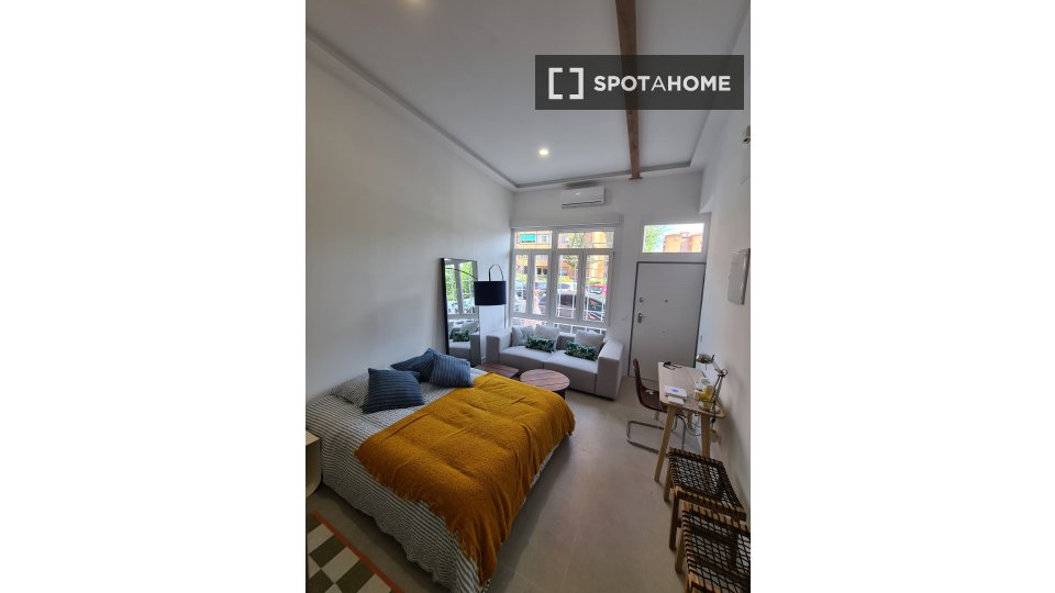 Apartment Madrid, 1 bed — photo 5