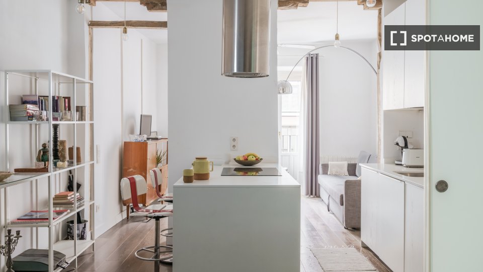 Apartment mono Madrid, 47m² — photo 3