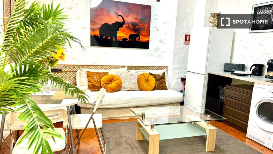 Apartment mono Madrid, 45m² — photo 11