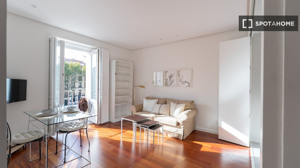 Apartment mono Madrid, 50m² — photo 11