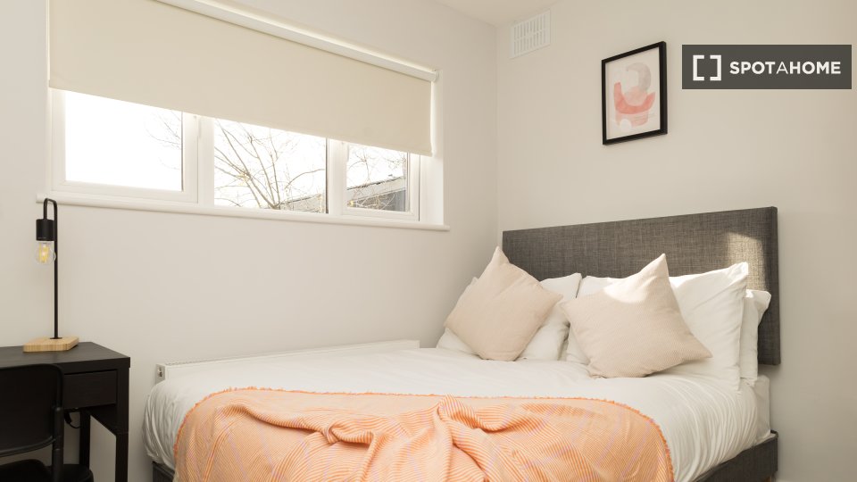 Double room Dublin, 5 beds — photo 9