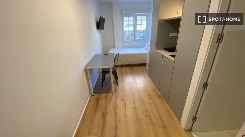Apartment mono Madrid, 16m² — photo 14