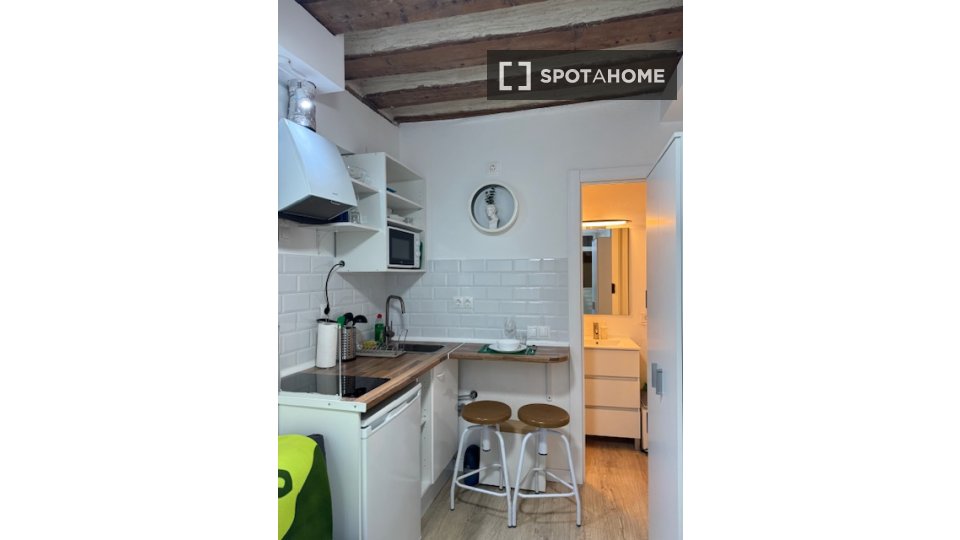 Apartment mono Madrid, 13m² — photo 4
