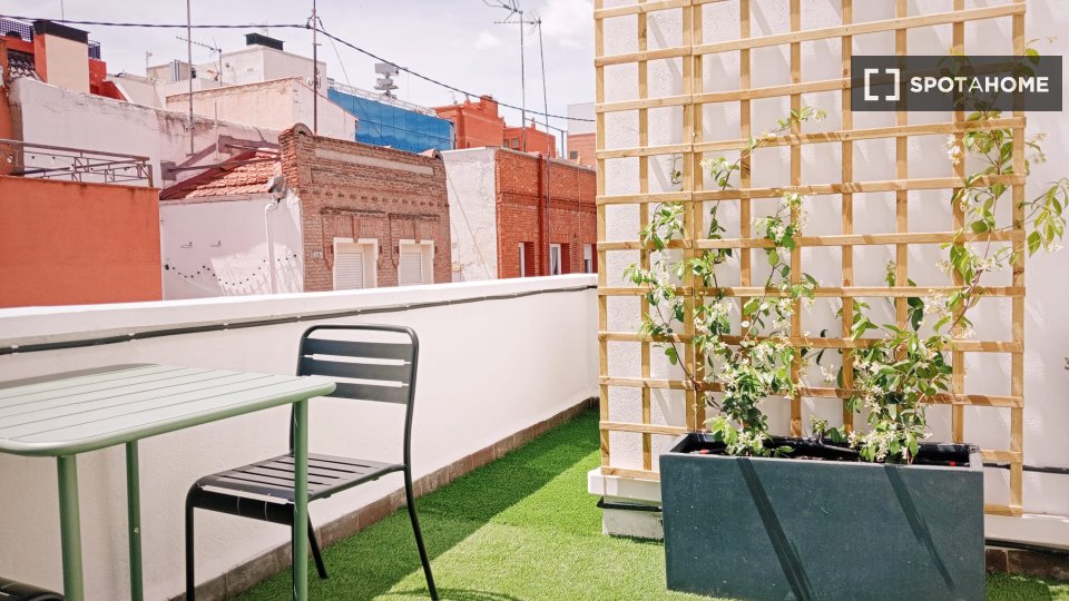 Apartment mono Madrid, 25m² — photo 4