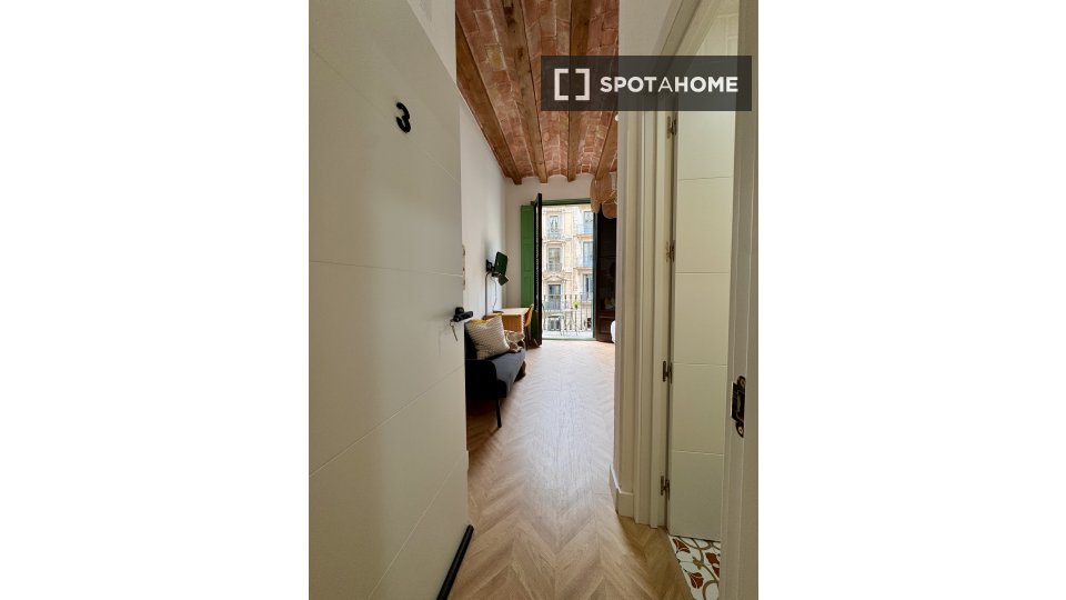 Double room Barcelona, 5 beds — photo 7