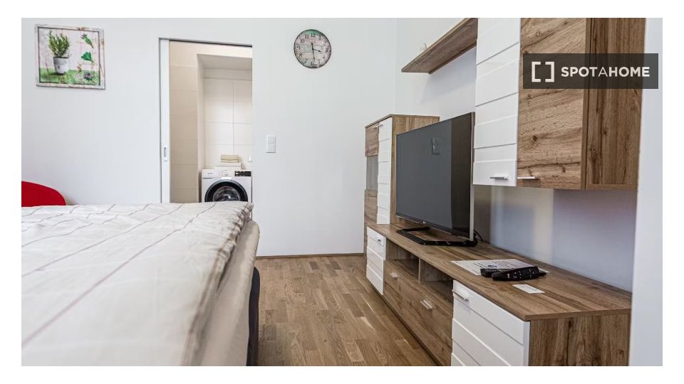 Apartment Vienna, 1 bed, 35m² — photo 2
