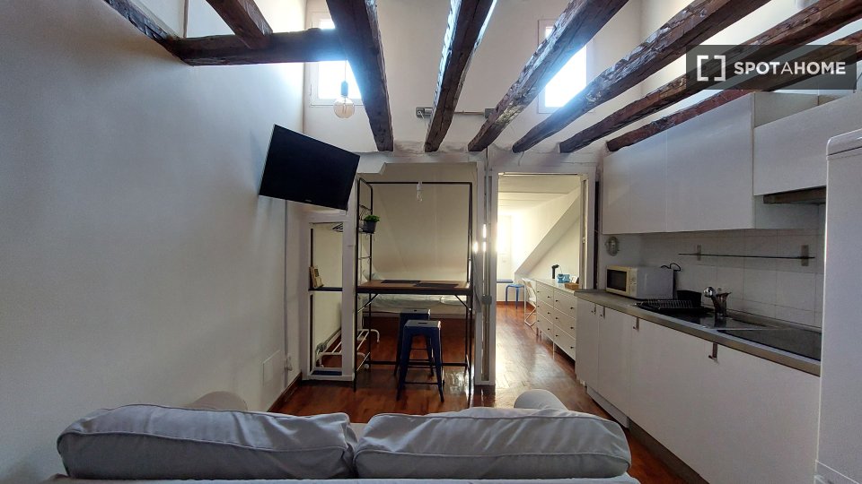 Apartment mono Madrid, 30m² — photo 4