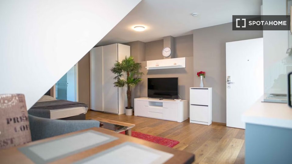 Apartment Vienna, 1 bed, 30m² — photo 6