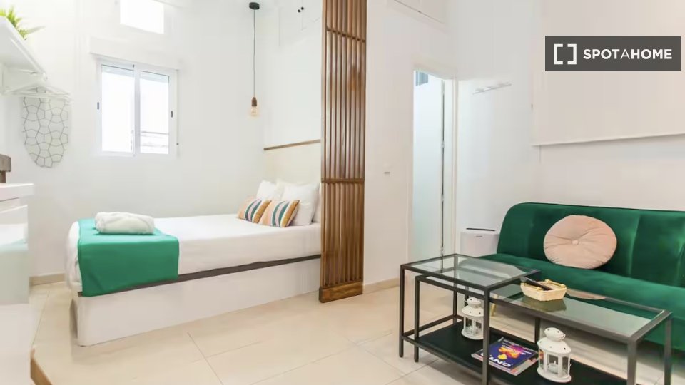 Apartment Madrid, 1 bed — photo 18