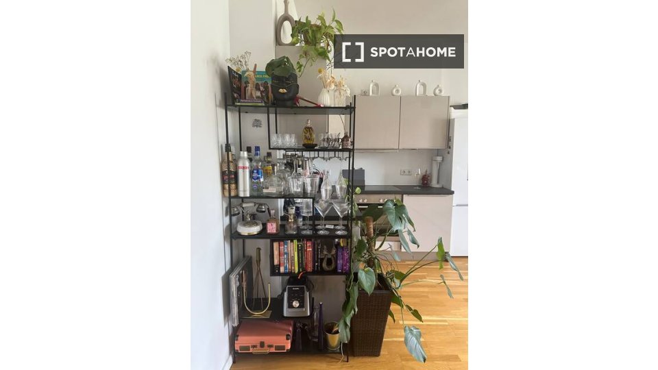 Apartment mono Berlin, 45m² — photo 12