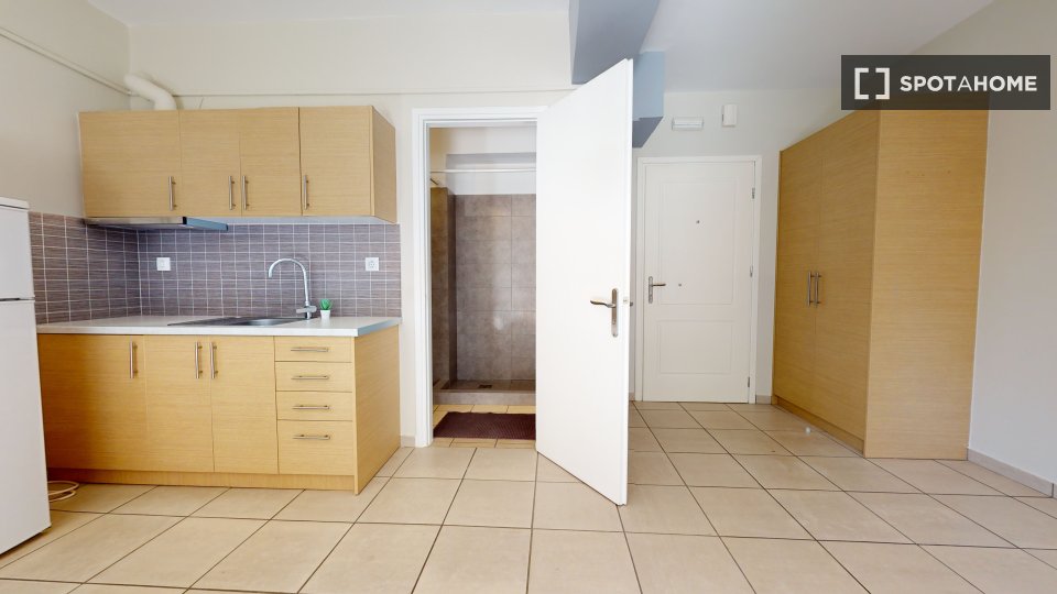 Apartment mono Athens, 36m² — photo 5