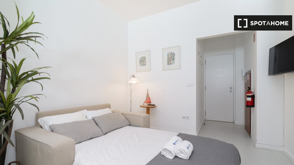 Apartment Porto, 1 bed — photo 11