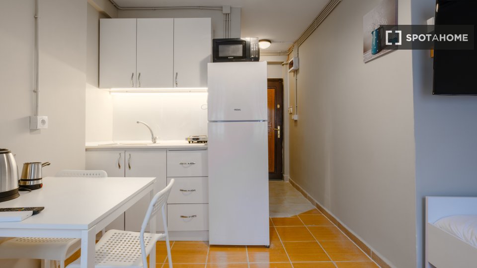 Apartment Istanbul, 1 bed — photo 3