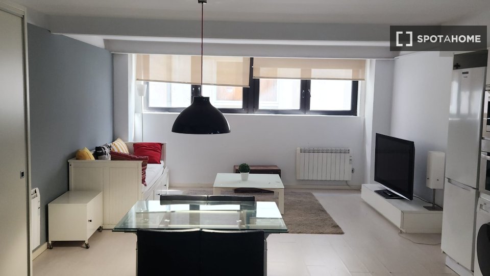 Apartment mono San_Sebastian, 52m² — photo 13
