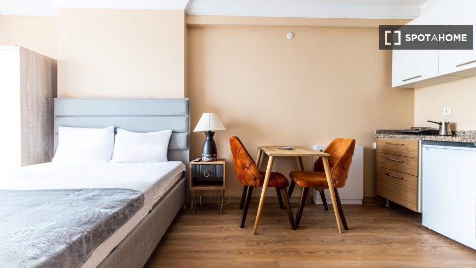 Apartment Istanbul, 1 bed — photo 2