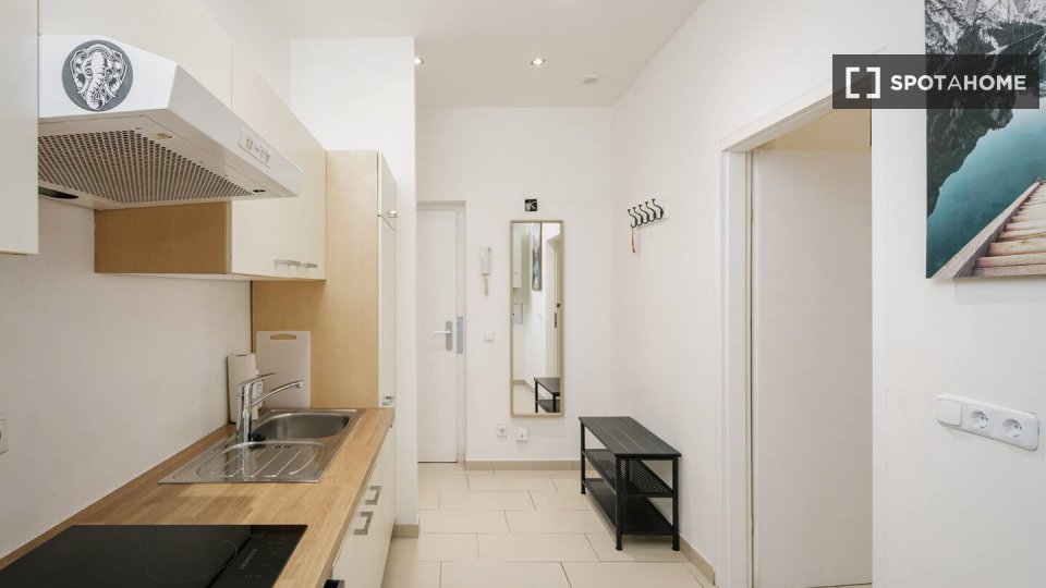 Apartment mono Vienna, 39m² — photo 1
