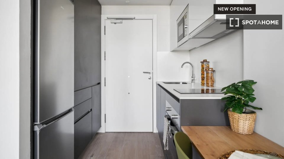 Apartment mono Madrid, 27m² — photo 4