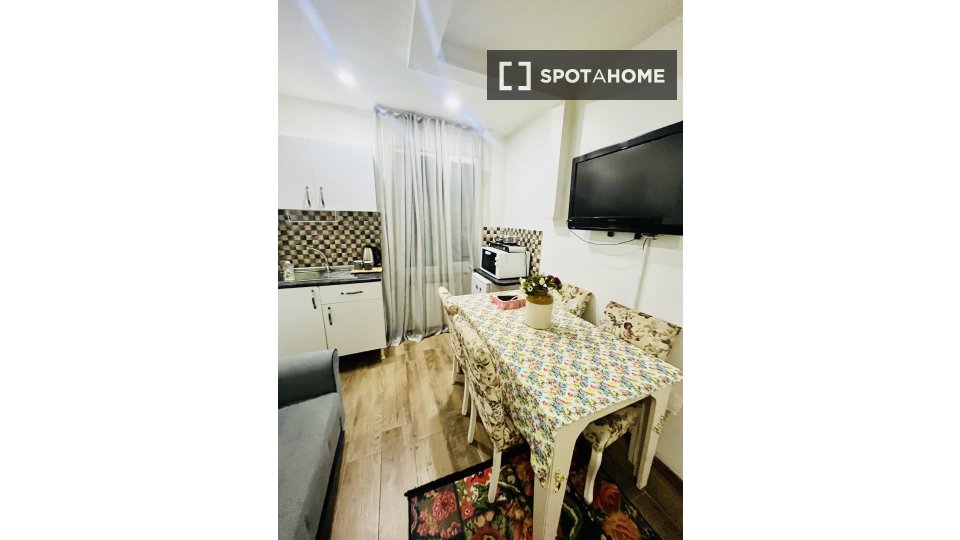 Apartment Istanbul, 1 bed, 48m² — photo 15