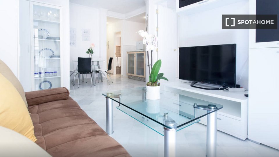 Apartment Seville, 1 bed — photo 30