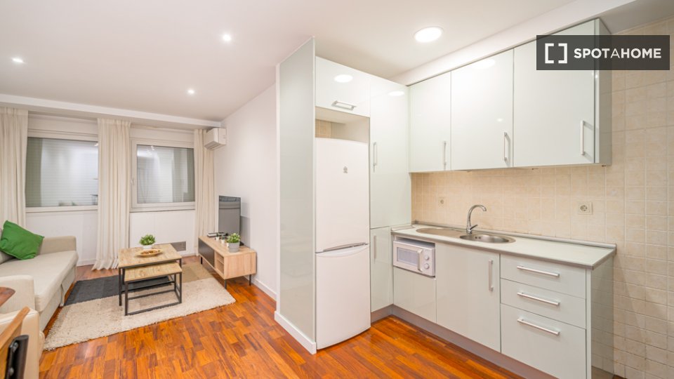 Apartment Madrid, 1 bed — photo 12