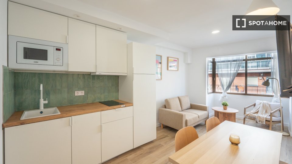 Apartment mono Madrid, 30m² — photo 12