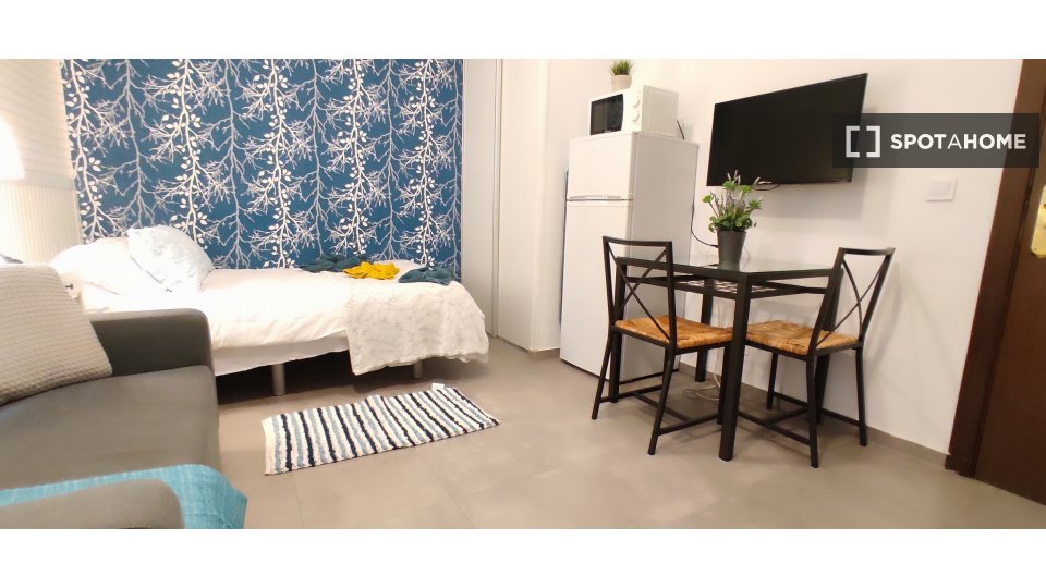 Apartment mono Madrid — photo 17