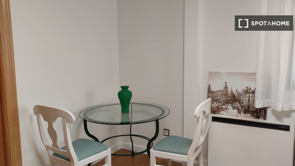 Apartment mono Madrid, 40m² — photo 6