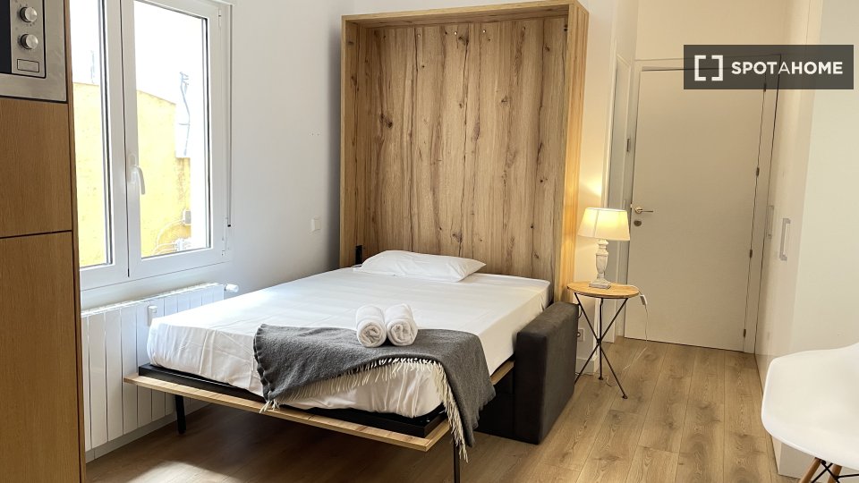 Apartment mono Madrid, 25m² — photo 6