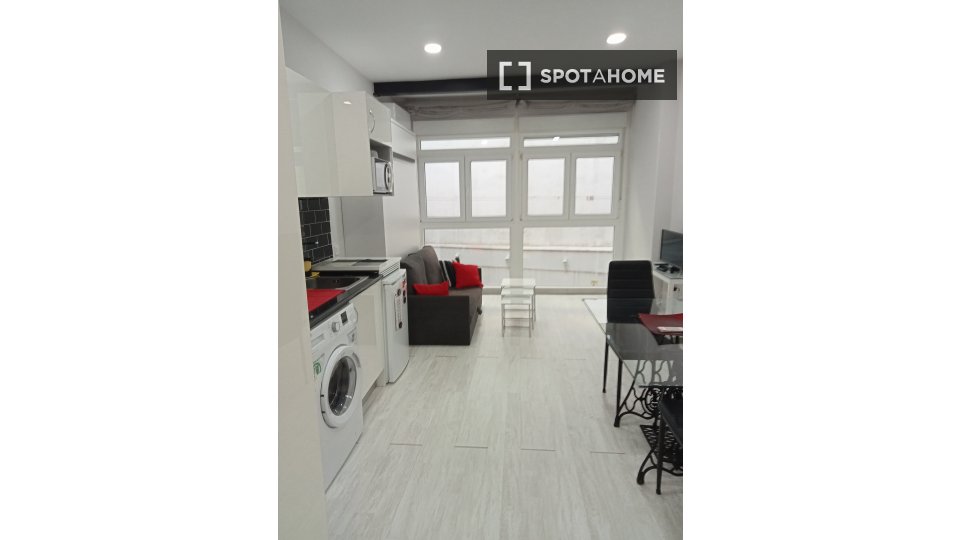 Apartment mono Madrid, 25m² — photo 9