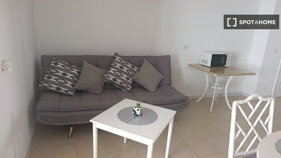 Apartment mono Santa_Cruz_De_Tenerife, 47m² — photo 3