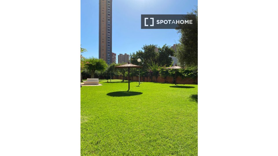 Apartment Alicante, 2 beds, 80m² — photo 9