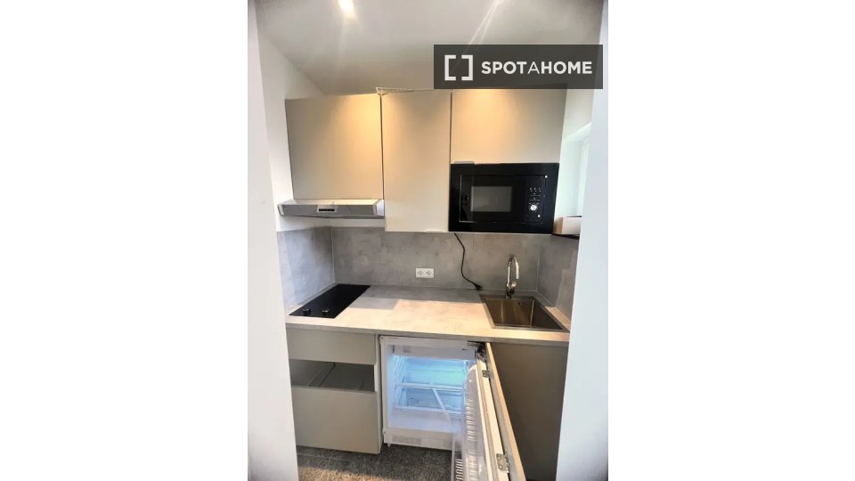 Apartment mono Frankfurt, 30m² — photo 4