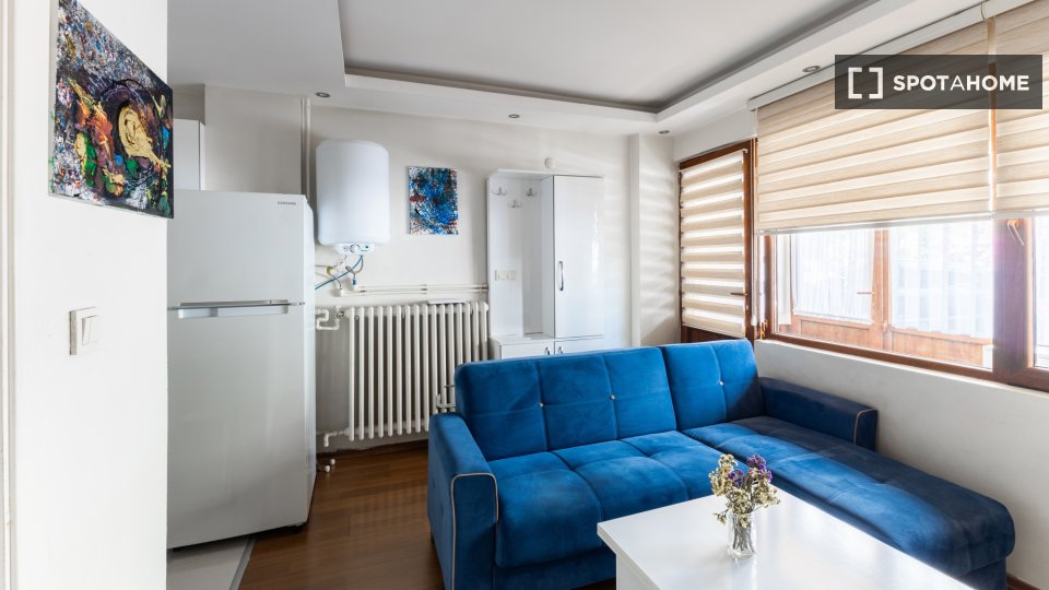 Apartment Istanbul, 1 bed — photo 6