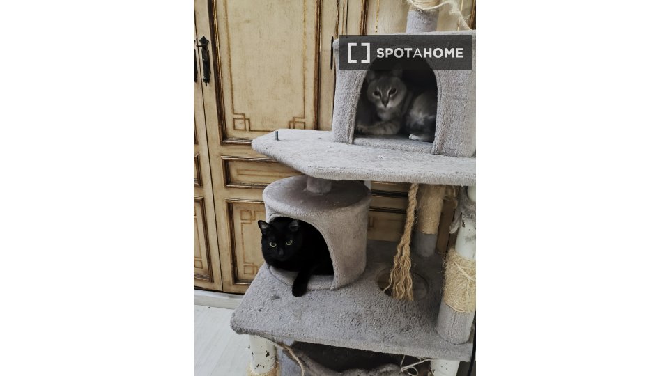 Double room Barcelona, 2 beds, 80m² — photo 4