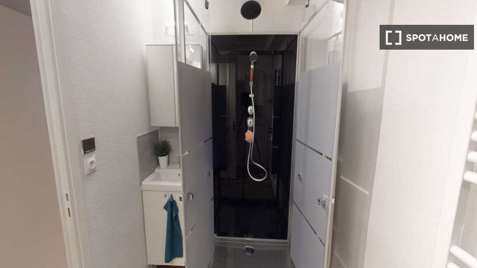 Double room Toulouse, 5 beds, 140m² — photo 8