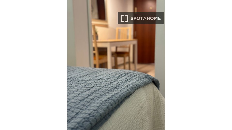 Apartment Madrid, 1 bed — photo 9