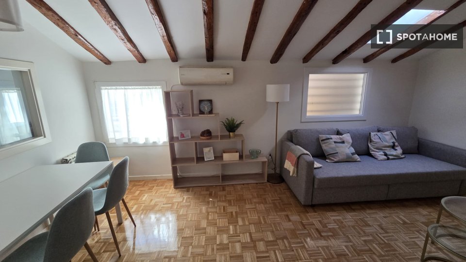 Apartment mono Madrid, 70m² — photo 8