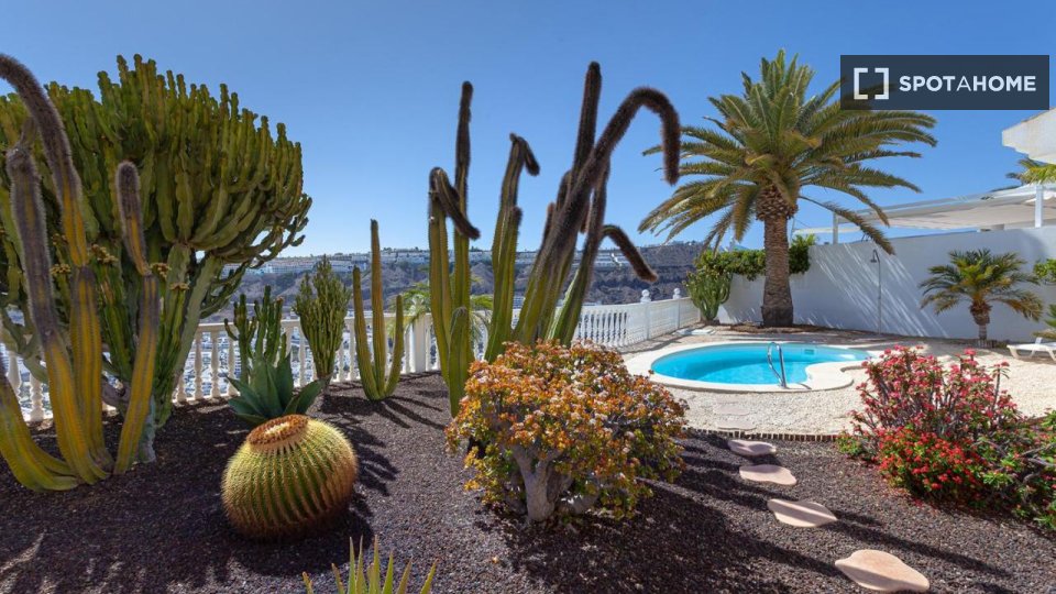Apartment Santa_Cruz_De_Tenerife, 3 beds, 590m² — photo 4